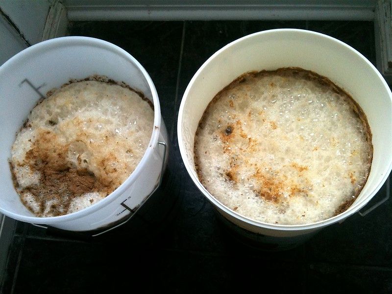 Fermentation of rye whiskey mash