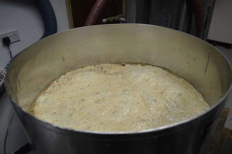 beer during fermentation